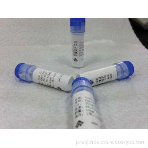 Goat anti Mouse-IgG Polyclonal Antibody Infectious Disease